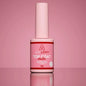 TOP COAT MATTE ANYLOVY 9g